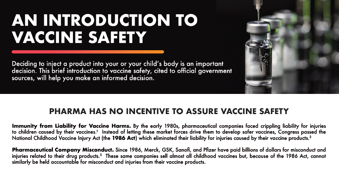 an introduction to vaccine safety